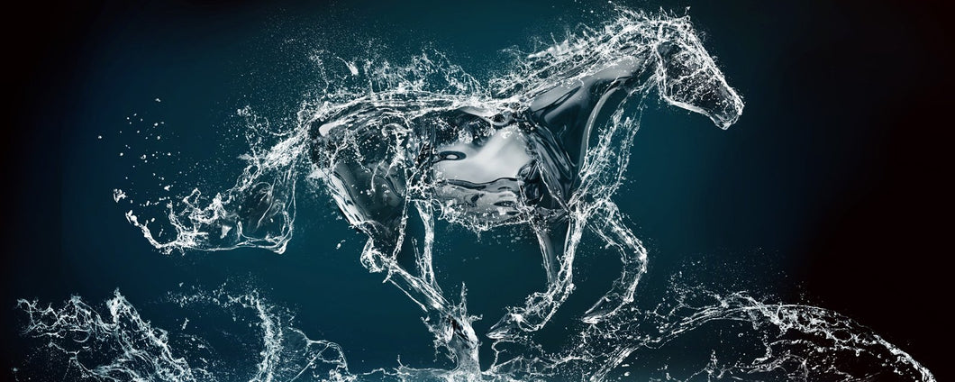 Horses Immunizor For Sale - Immune System Bost | Immunizor